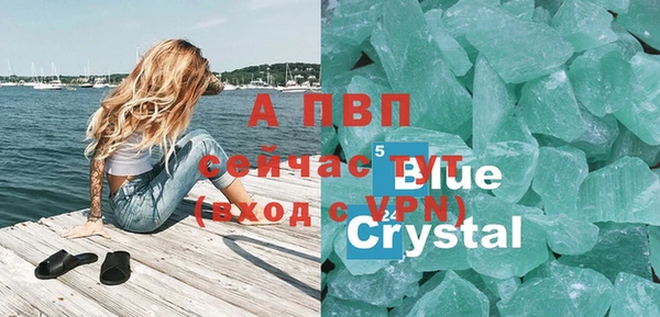 спайс Арсеньев
