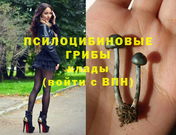 MDMA Premium VHQ Аркадак