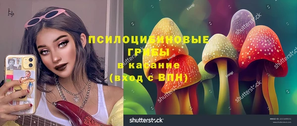 спайс Арсеньев