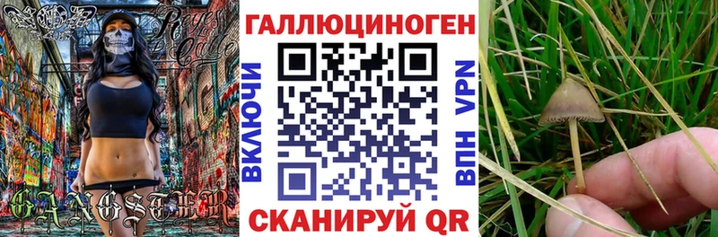 Галлюциногенные грибы MAGIC MUSHROOMS  Купить закладки  Заполярный 